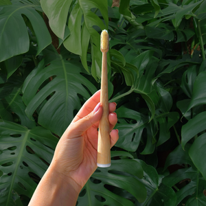 Boar Bristle & Bamboo Toothbrush (4 Pack)