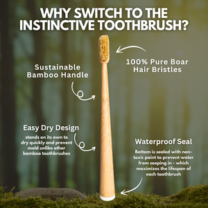 Boar Bristle & Bamboo Toothbrush (4 Pack)