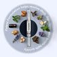 Kexi Life - Antifungal Pen